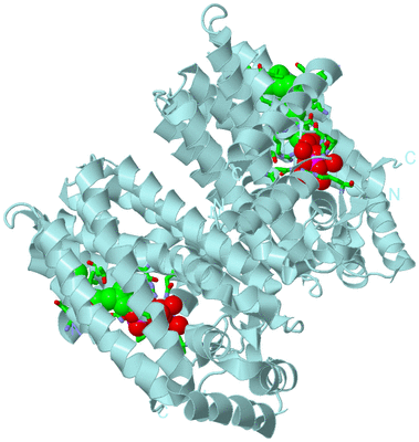 Image Biol. Unit 1 - sites