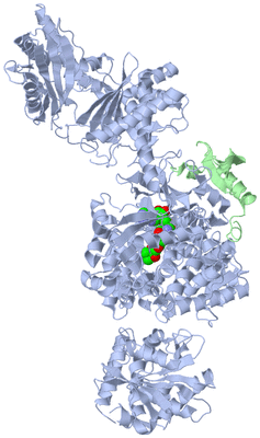 Image Asym./Biol. Unit