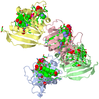 Image Asym./Biol. Unit - sites