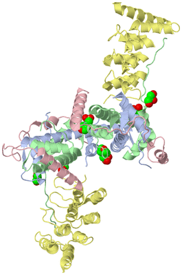 Image Biological Unit 1