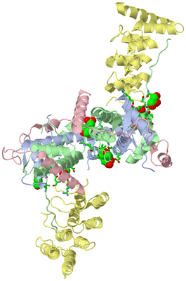 Image Biol. Unit 1 - sites