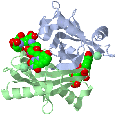 Image Biological Unit 1