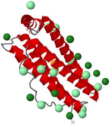 Image Asymmetric Unit