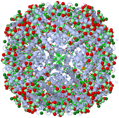 Image Biol. Unit 1 - sites