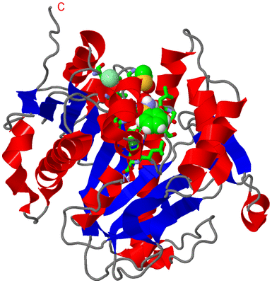 Image Asym./Biol. Unit - sites