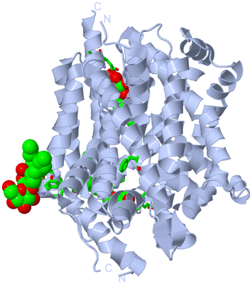 Image Biol. Unit 1 - sites