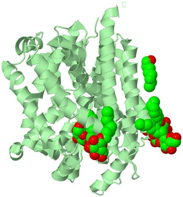 Image Biological Unit 2