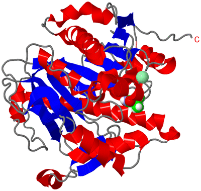 Image Asym./Biol. Unit