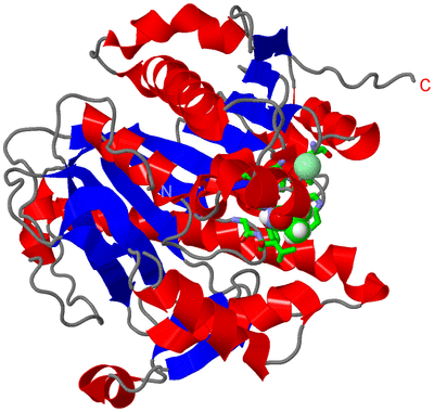 Image Asym./Biol. Unit - sites