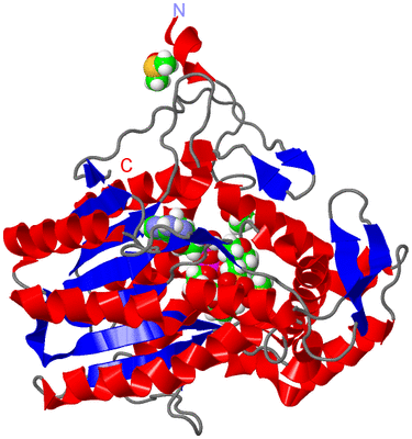 Image Asym./Biol. Unit