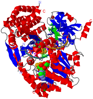 Image Asym./Biol. Unit