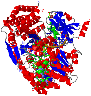 Image Asym./Biol. Unit - sites