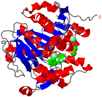 Image Asym./Biol. Unit