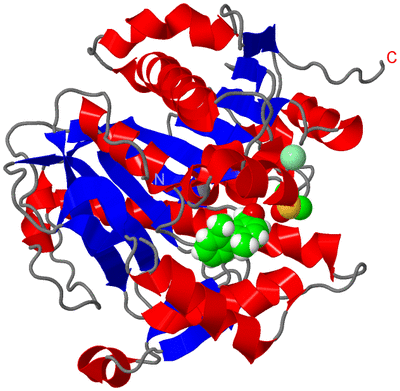 Image Asym./Biol. Unit