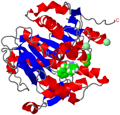 Image Asym./Biol. Unit