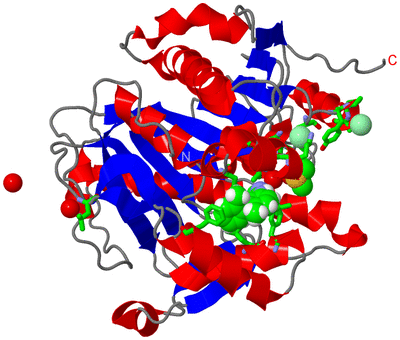 Image Asym./Biol. Unit - sites