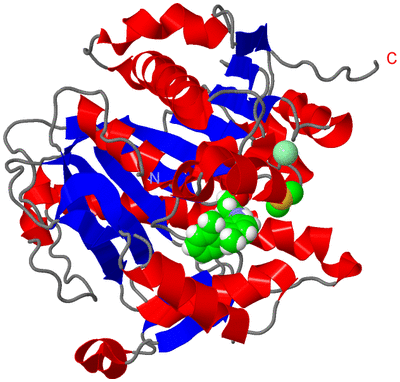 Image Asym./Biol. Unit