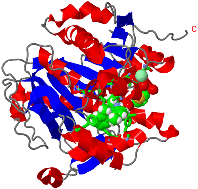 Image Asym./Biol. Unit - sites