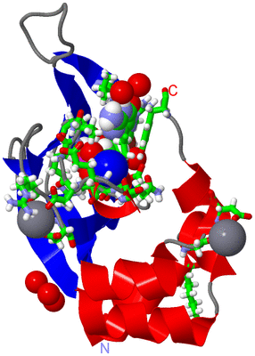 Image Asym./Biol. Unit - sites