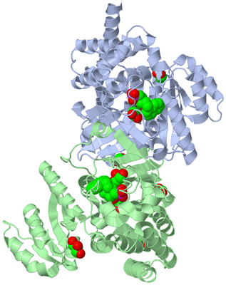 Image Asym./Biol. Unit