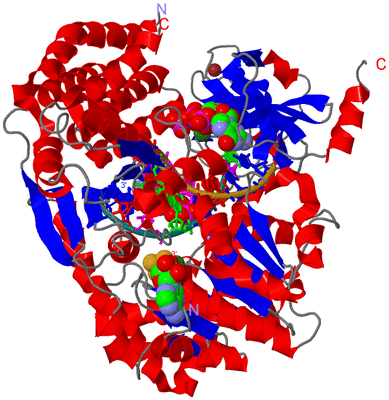 Image Asym./Biol. Unit