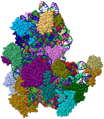 Image Asym./Biol. Unit