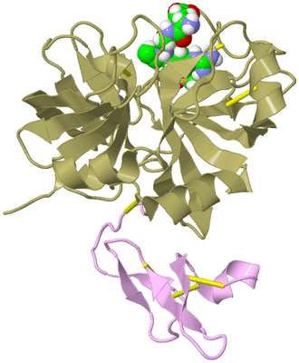 Image Asym./Biol. Unit