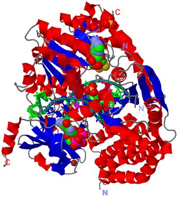 Image Asym./Biol. Unit