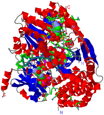 Image Asym./Biol. Unit - sites