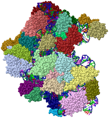 Image Asym./Biol. Unit