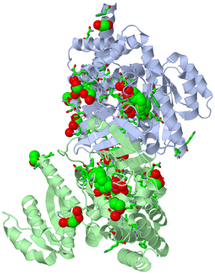 Image Asym./Biol. Unit - sites