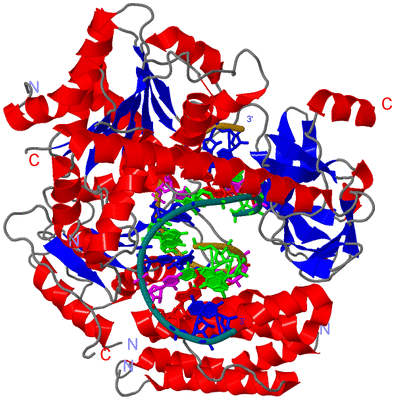 Image Asym./Biol. Unit