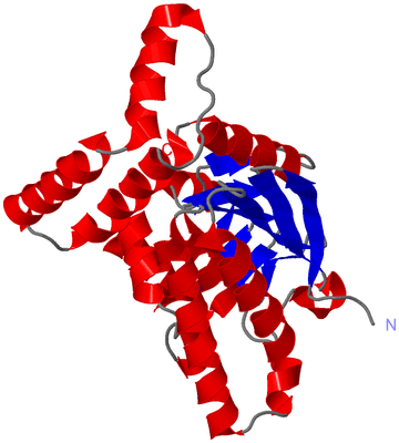 Image Asymmetric Unit