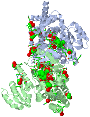 Image Asym./Biol. Unit - sites