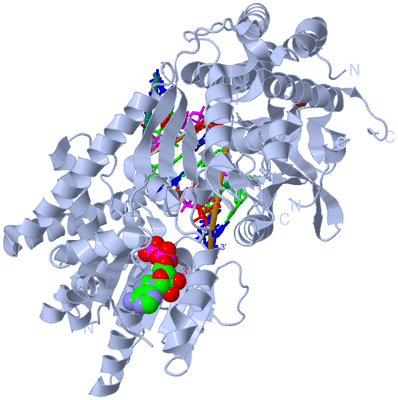 Image Biological Unit 1