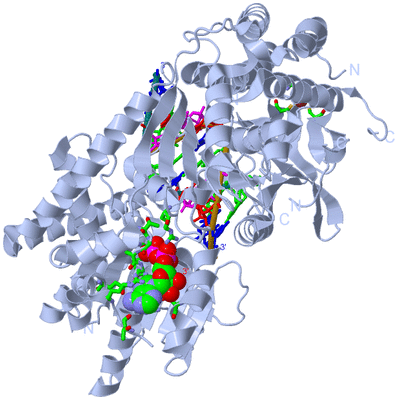 Image Biol. Unit 1 - sites