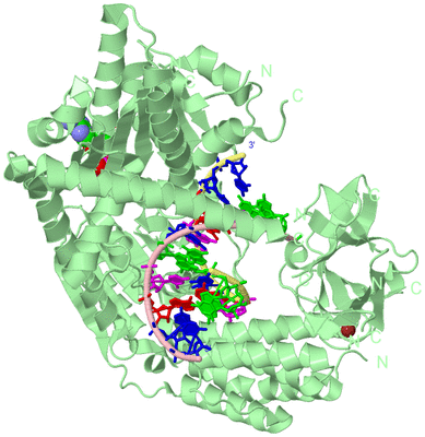 Image Biological Unit 2