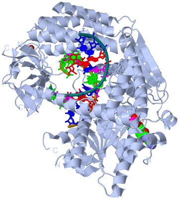 Image Biological Unit 1