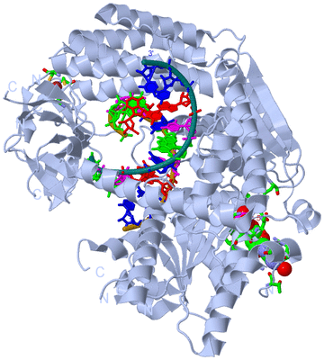 Image Biol. Unit 1 - sites