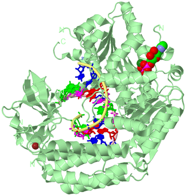 Image Biological Unit 2