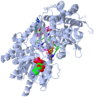 Image Biological Unit 1