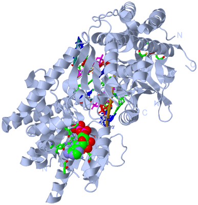 Image Biol. Unit 1 - sites