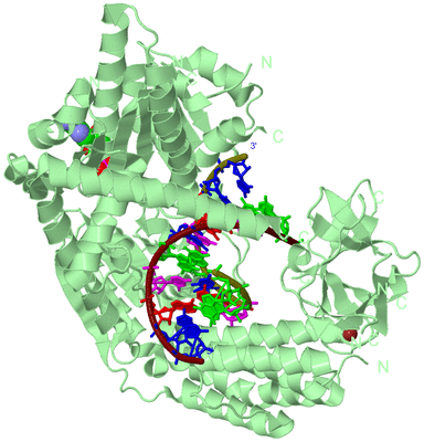 Image Biological Unit 2