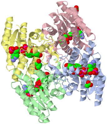 Image Asym./Biol. Unit