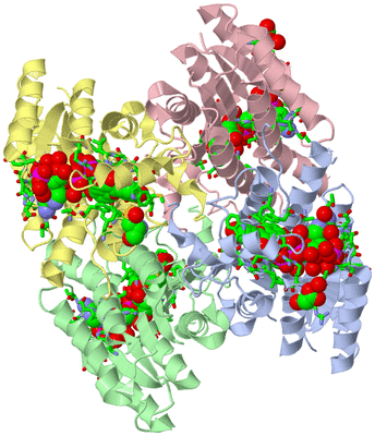 Image Asym./Biol. Unit - sites