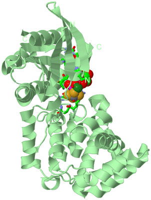 Image Biol. Unit 1 - sites