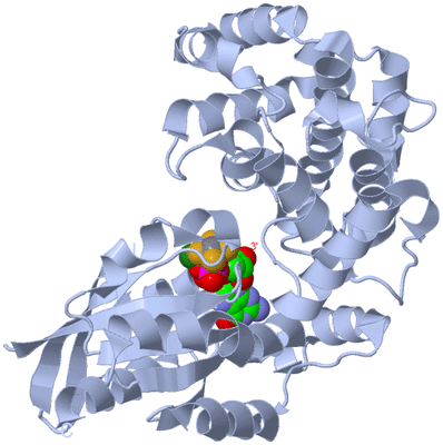 Image Biological Unit 2