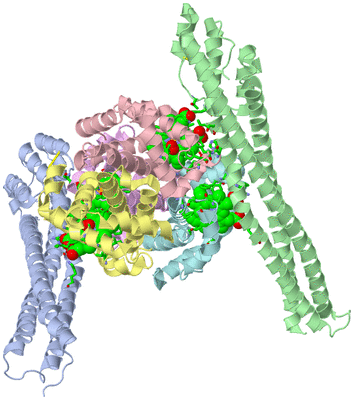 Image Asym./Biol. Unit - sites