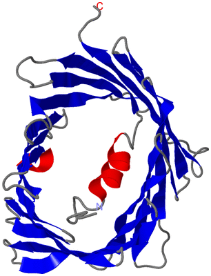 Image NMR Structure - model 1