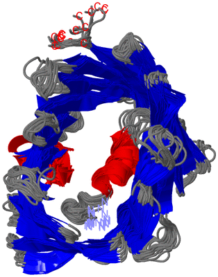 Image NMR Structure - all models